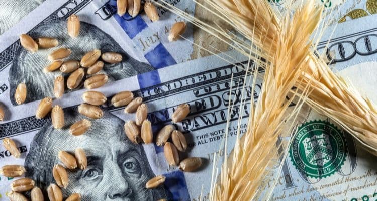 Emtia Nedir? Yatırım Rehberi ve Emtialar Hakkında Bilinmesi Gerekenler