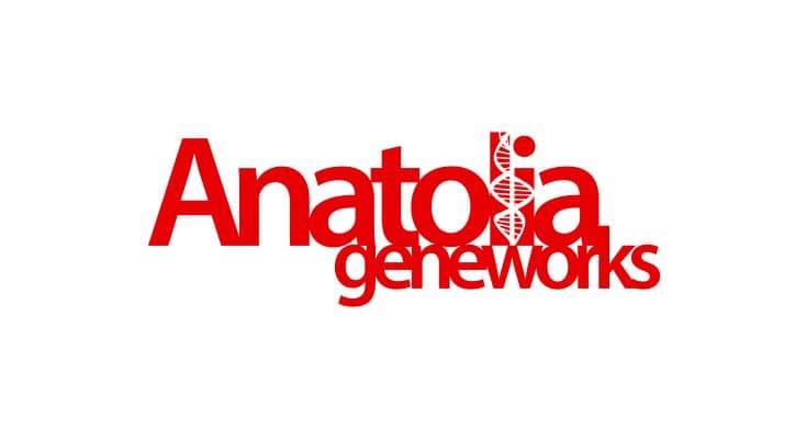 Anatolia (ANGEN) Hisse Yorumları ve Gelecek Beklentileri