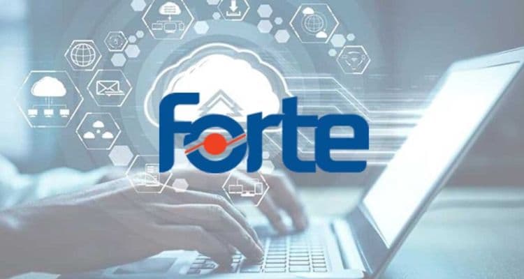 Forte Bilgi Teknolojileri (FORTE): Hisse Yorumları ve Gelecek Beklentileri