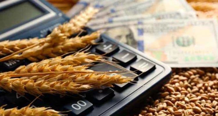 "Kassandra'nın Çığlığı" 2026'ya Ne Mesaj Gönderiyor?