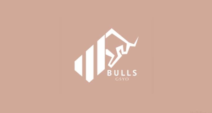 Bulls Girişim Sermayesi (BULGS) Hisse Yorumu ve Beklentiler