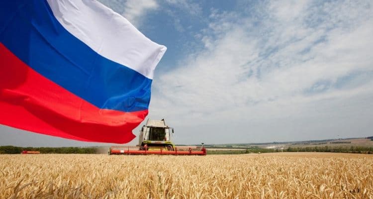 Rusya’dan paralel ithalata kısıtlama: Her marka ülkeye giremeyecek